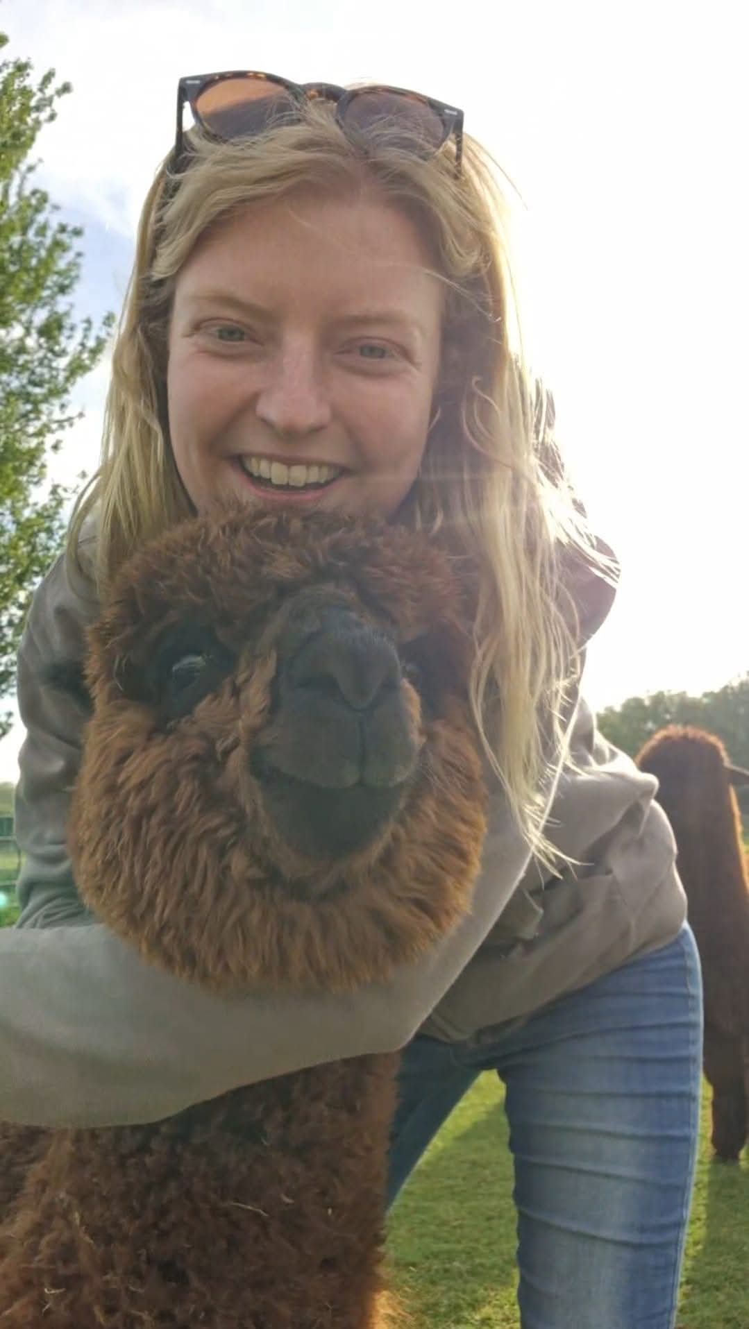 Lucy's Guide To Befriending Your Alpacas