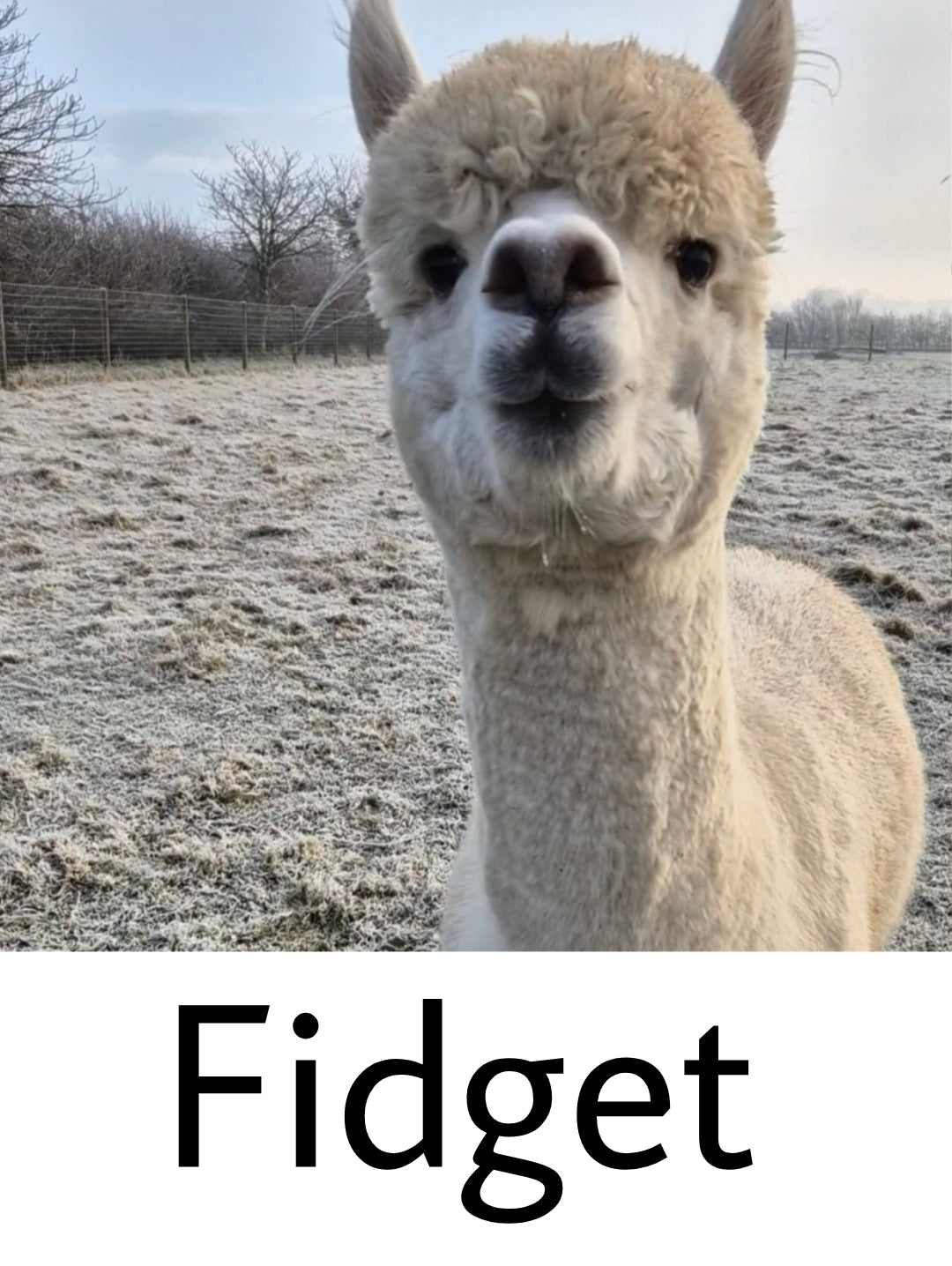 Blanket - chunky light cream