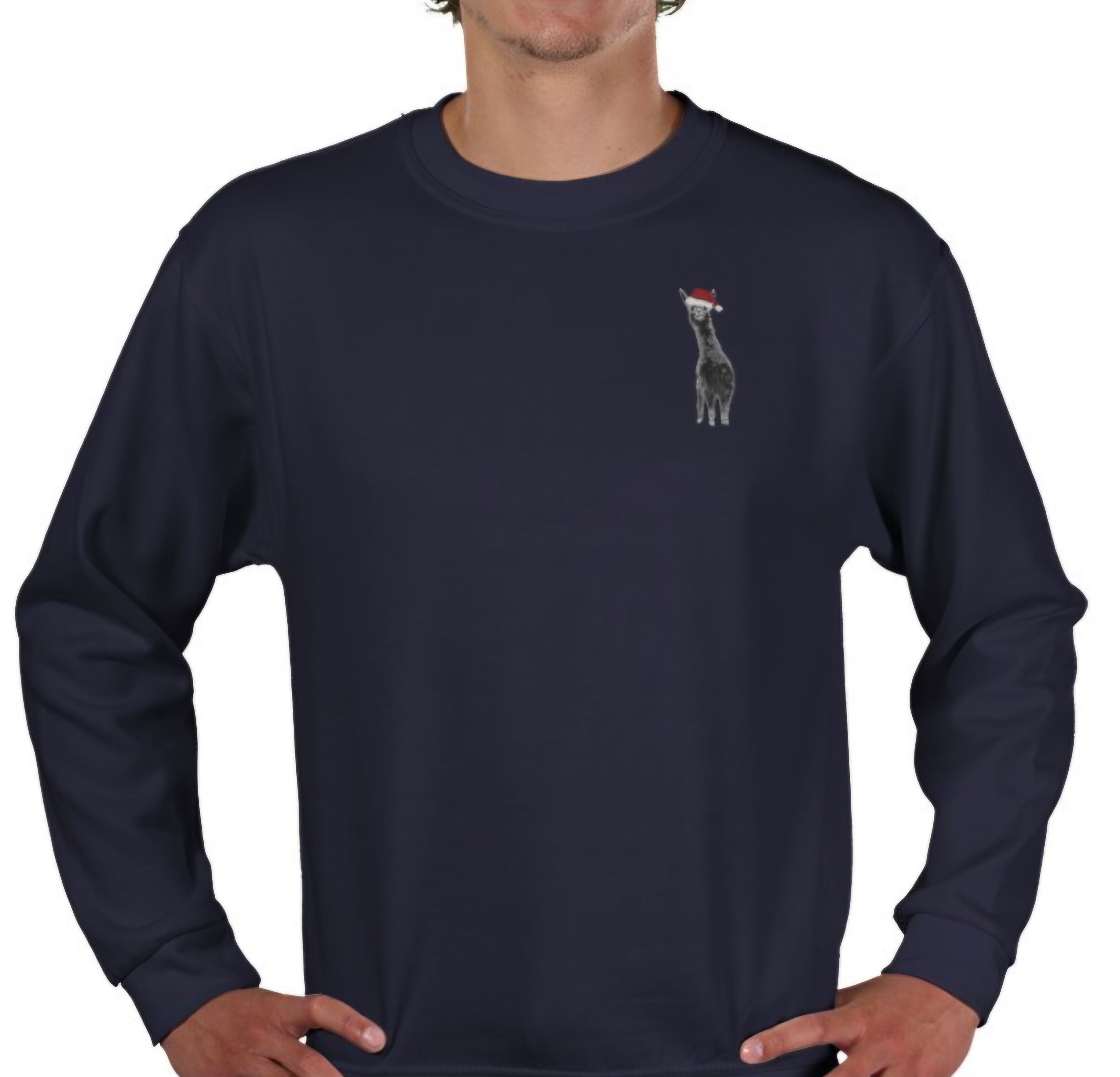 Christmas Jumper - Fred