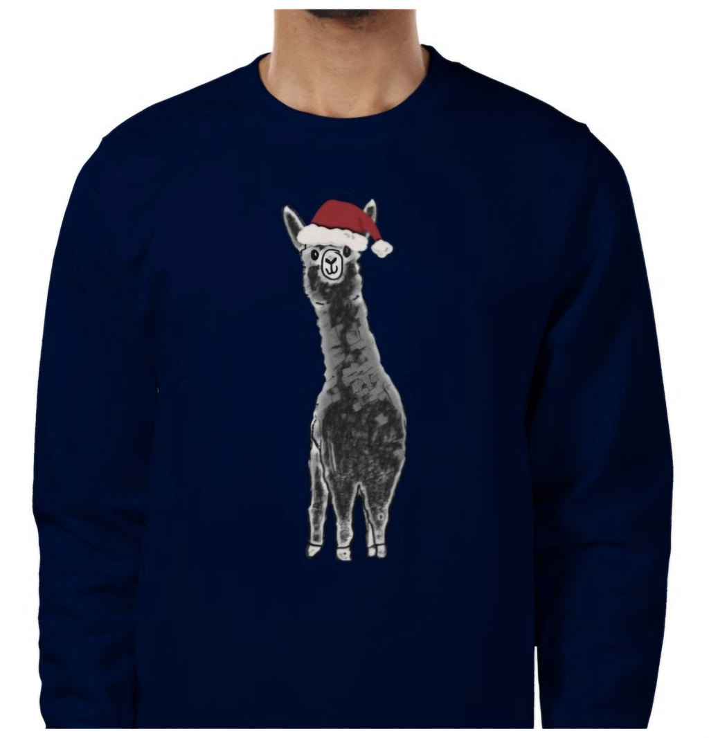 Christmas Jumper - Fred