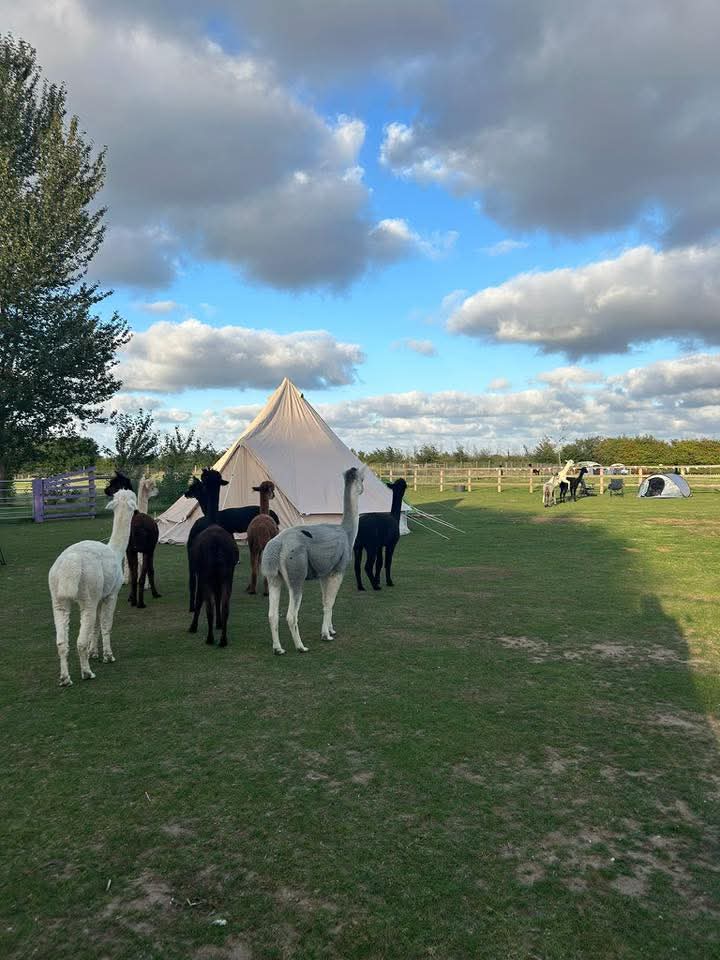 The Stubbs Farm Sleepover