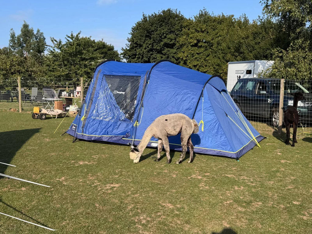 The Stubbs Farm Sleepover