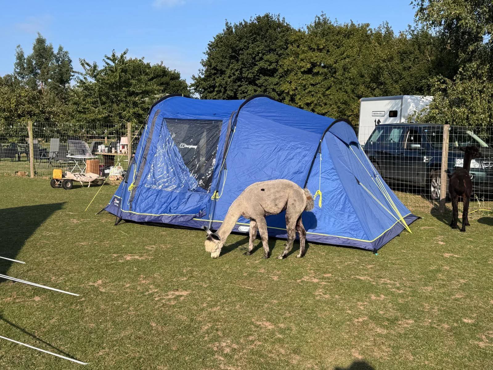 The Stubbs Farm Sleepover