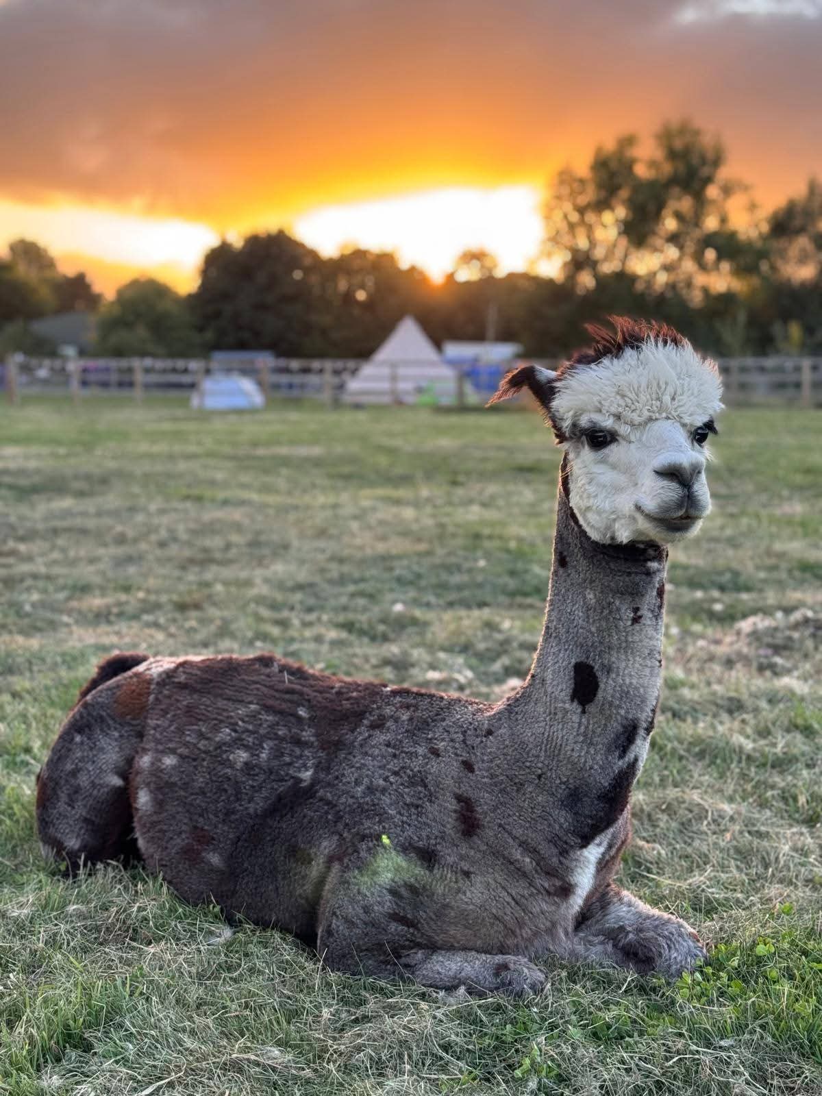 The Stubbs Farm Sleepover
